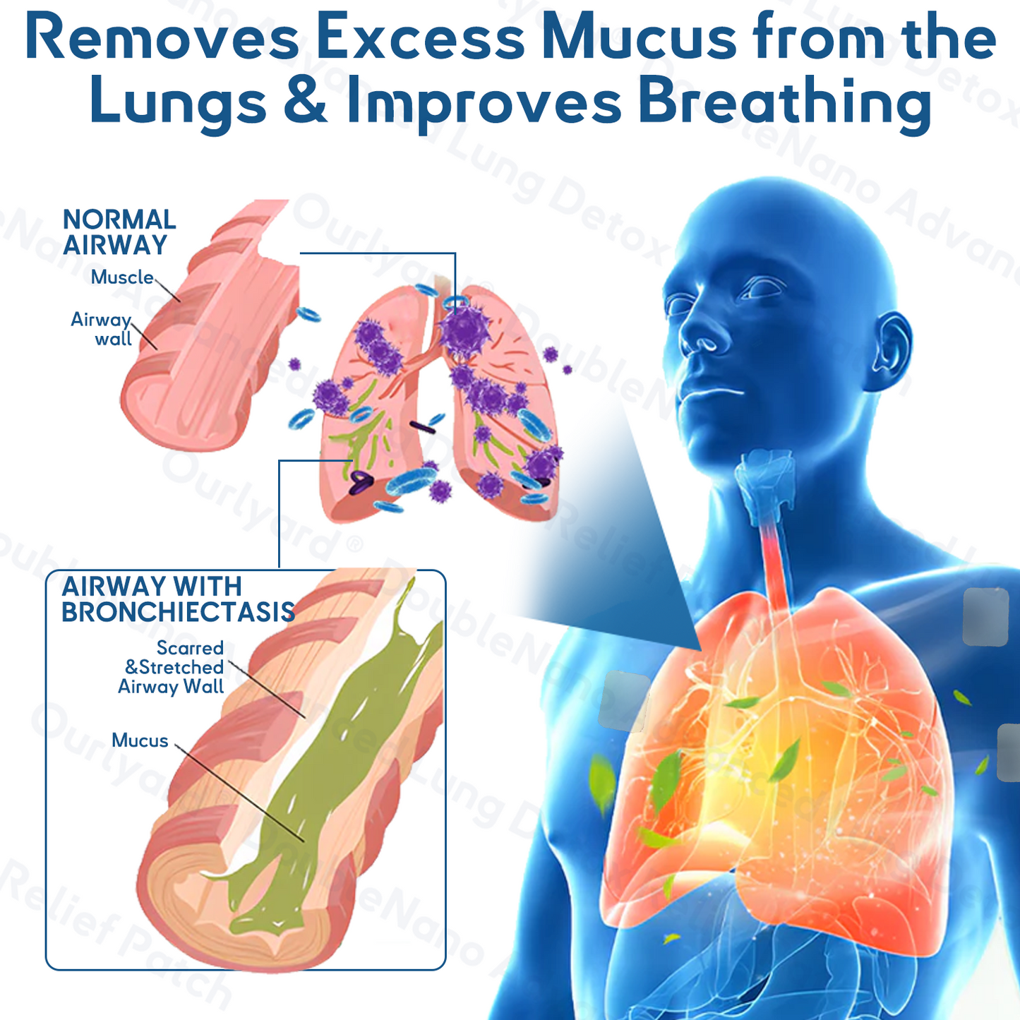 🌙🌙𝐎𝐟𝐟𝐢𝐜𝐢𝐚𝐥 𝐒𝐭𝐨𝐫𝐞: 𝐎𝐮𝐫𝐥𝐲𝐚𝐫𝐝® 𝐃𝐨𝐮𝐛𝐥𝐞𝐍𝐚𝐧𝐨 𝐀𝐝𝐯𝐚𝐧𝐜𝐞𝐝 𝐋𝐮𝐧𝐠 𝐃𝐞𝐭𝐨𝐱 𝐑𝐞𝐥𝐢𝐞𝐟 𝐏𝐚𝐭𝐜𝐡 💝𝐓𝐆𝐀 𝐂𝐨𝐦𝐩𝐥𝐢𝐚𝐧𝐭